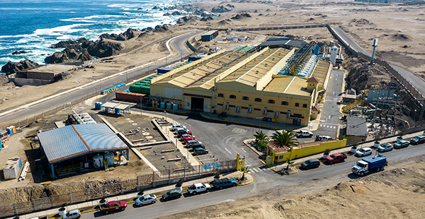 Planta <span>Antofagasta</span>